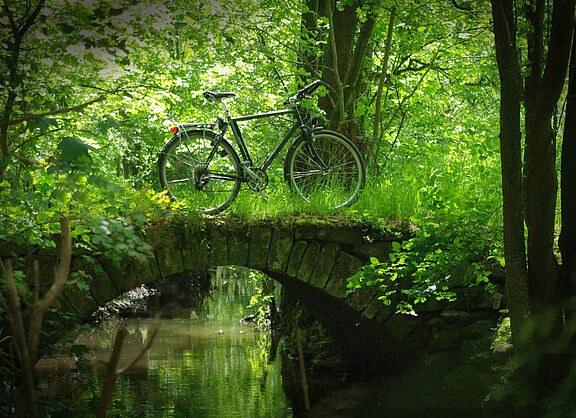 Mit dem Rad raus in die Natur